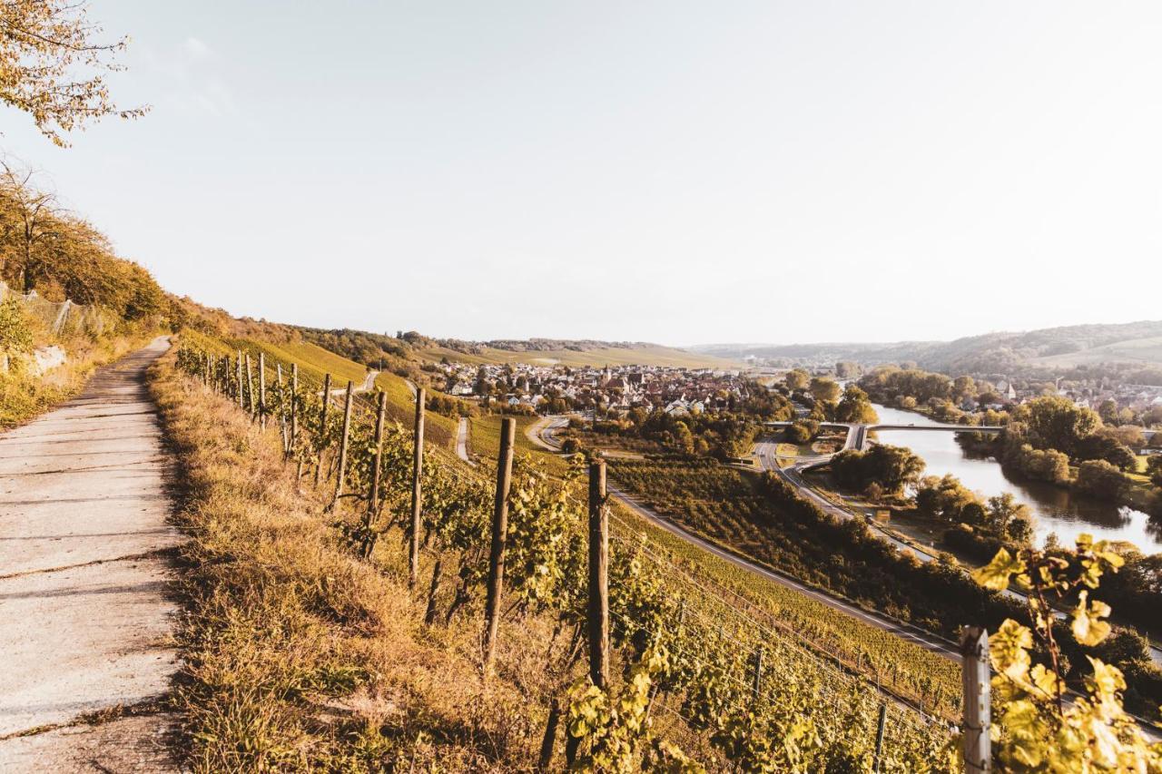 ホテル Weingut Pastoriushaus - Artur Steinmann ゾンマーハウゼン エクステリア 写真