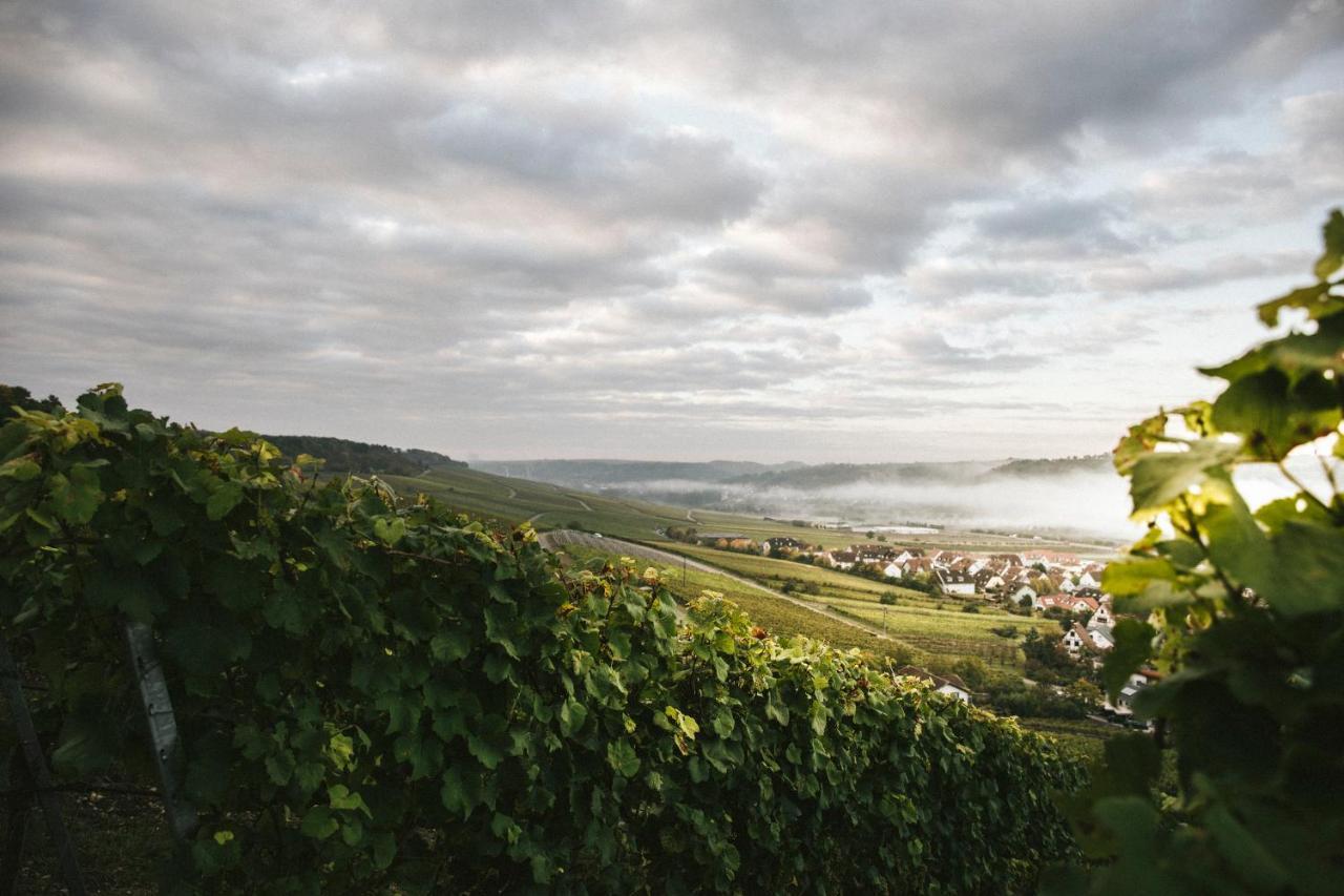 ホテル Weingut Pastoriushaus - Artur Steinmann ゾンマーハウゼン エクステリア 写真