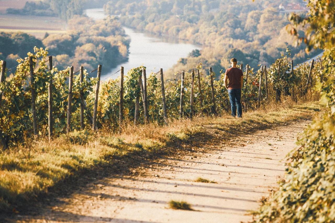 ホテル Weingut Pastoriushaus - Artur Steinmann ゾンマーハウゼン エクステリア 写真